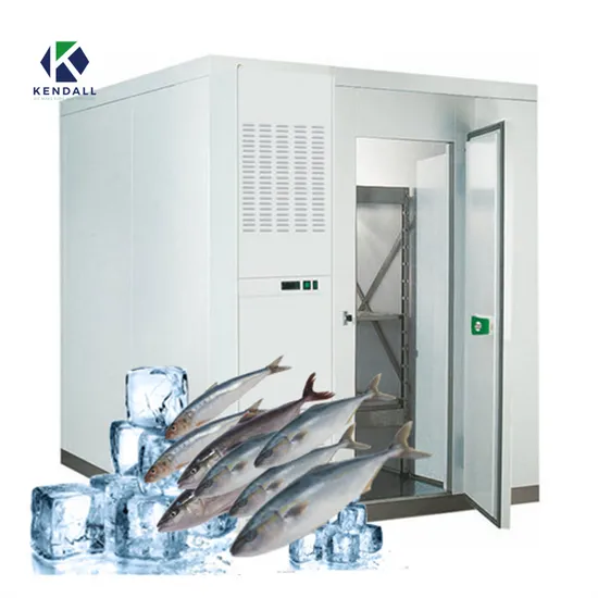 Refrigerated Container Walk in Freezer Storage Cold Storage Refrigeration Cooling Room