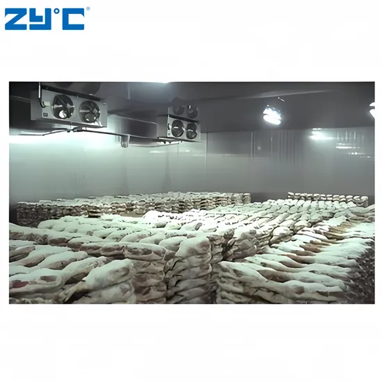 Vegetables Fruit Fish Fresh Meat Chicken Frozen Foods Beverage Container Cold Room Price 