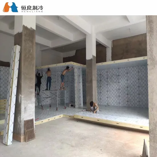 Hengliang Cooling Walk in Chiller Cold Room Solar Powered Cold Store Container Industrial Refrigerator 