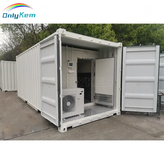 Movable Combined 20FT 40FT Reefer Container Cold Room for Storage 