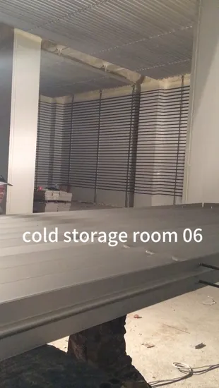 Commercial Industrial Container Refrigerated Cool Cold Room Freezer Room with Condensing Unit 