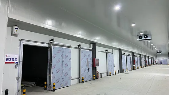 Large Medium Small Container Cold Storage Fresh